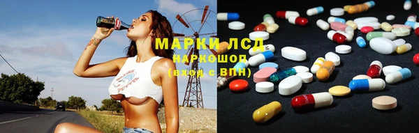 хмурый Алексин