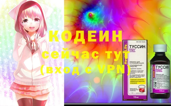 хмурый Алексин