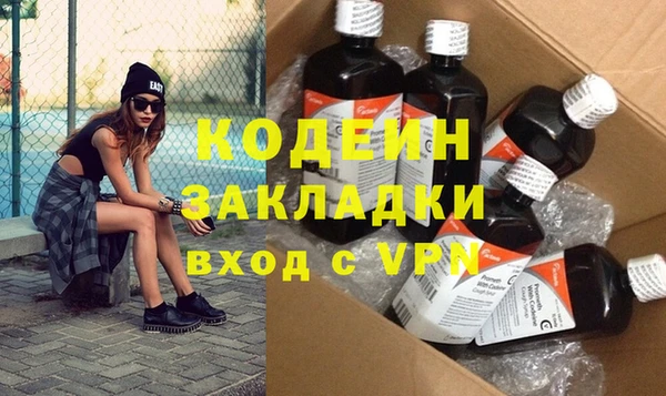 хмурый Алексин